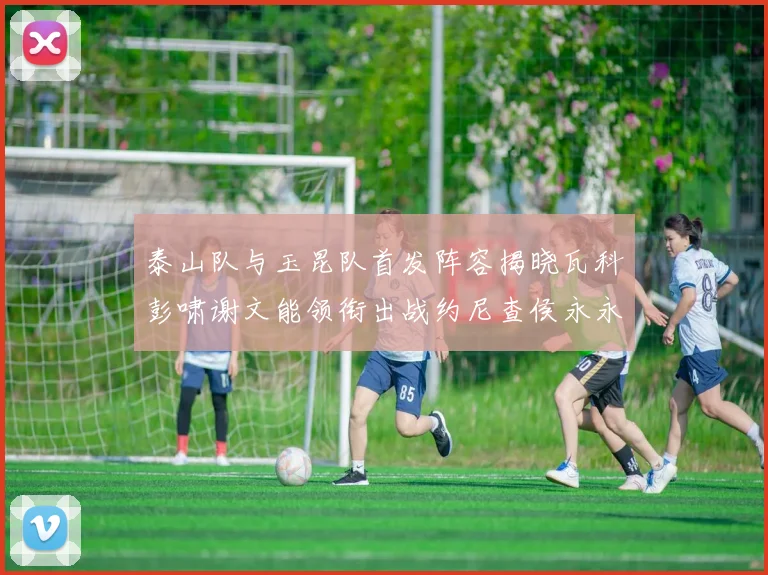 泰山队与玉昆队首发阵容揭晓瓦科彭啸谢文能领衔出战约尼查侯永永参赛