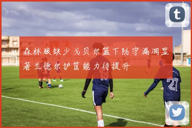 森林狼缺少戈贝尔篮下防守漏洞显著兰德尔护筐能力待提升