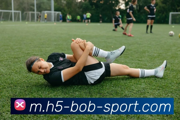 App Interface Preview